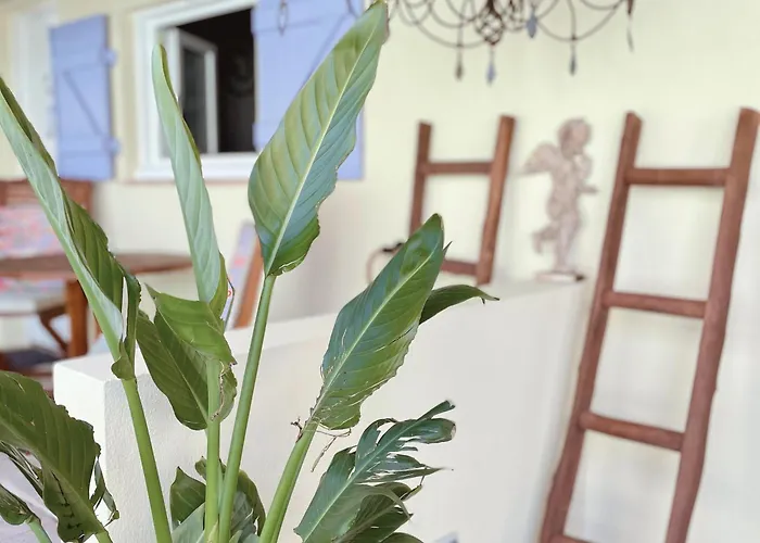 Hotel La Jabotte Antibes