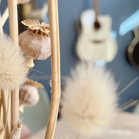 Готель La Jabotte Антіб