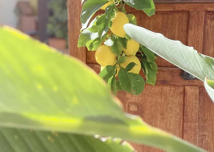 La Jabotte 3* アンティーブ