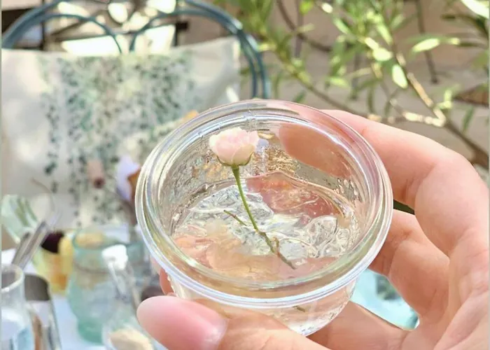 La Jabotte Ξενοδοχείο Αντίμπ