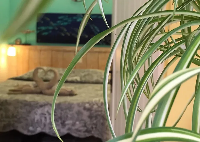 La Jabotte Hotel Antibes